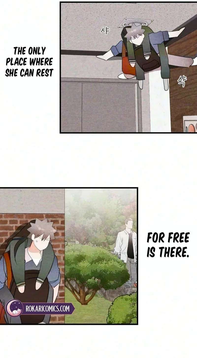 The Perfect Senior's Secret! Chapter 25 - page 20