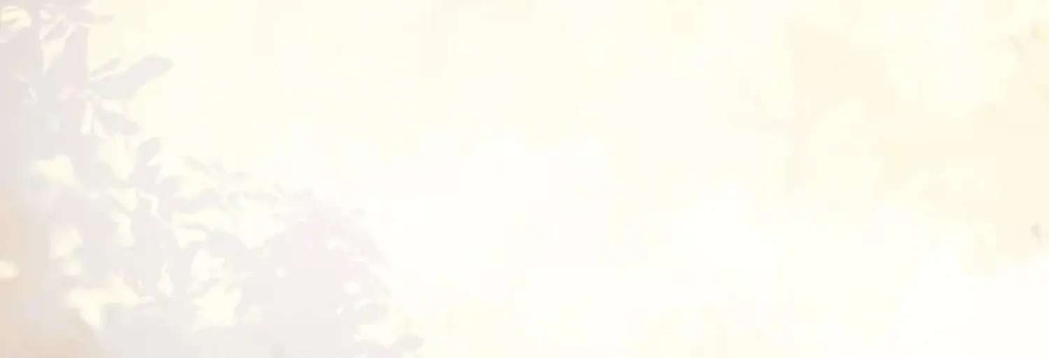 The Ghostly Doctor Chapter 647 - page 63