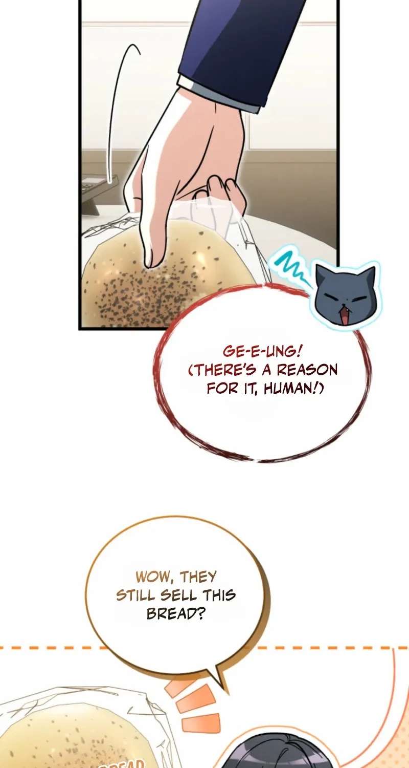 The Ranker Dreams of Retirement Today Too Chapter 62 - page 37