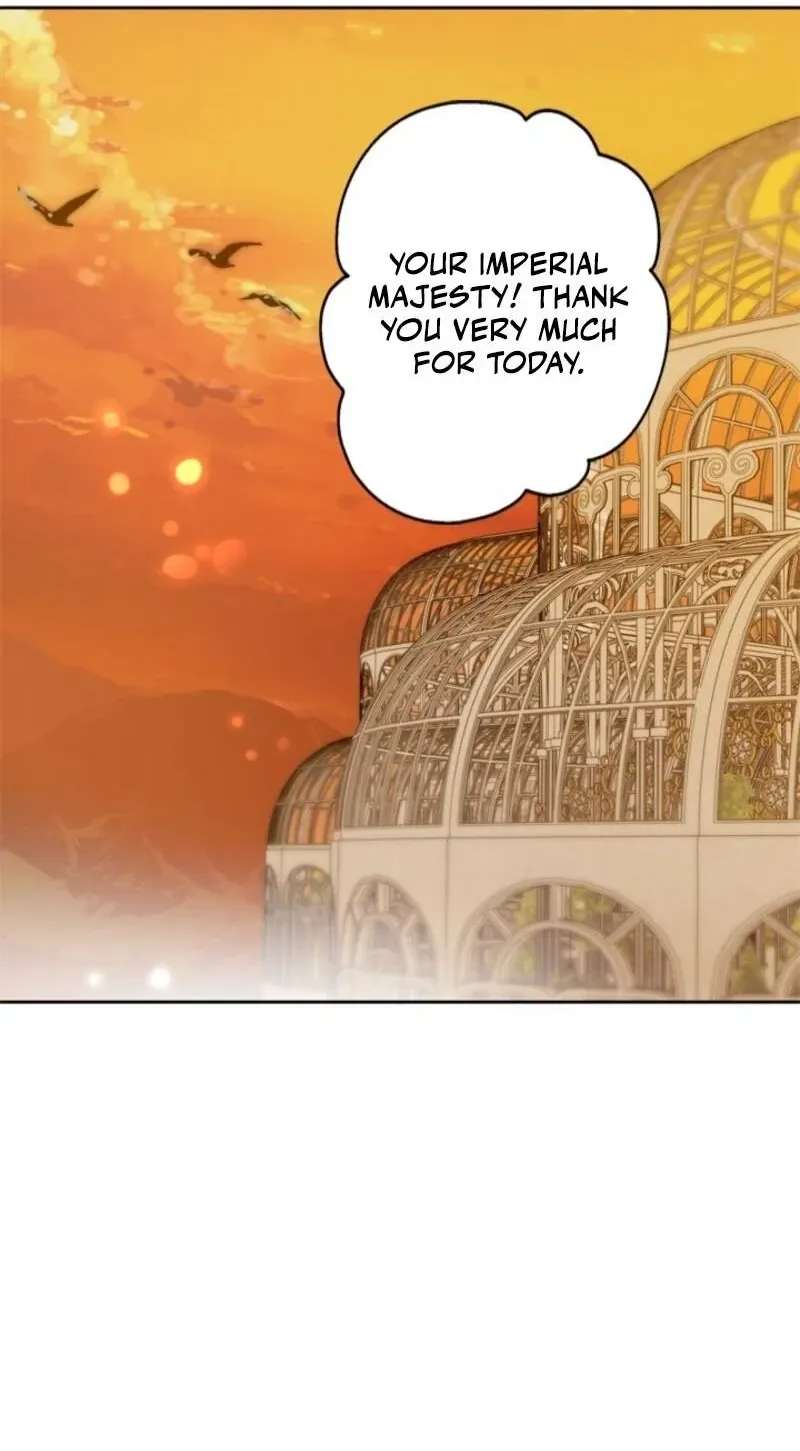 The Timid Lady of the Frontier Won't Give Up on Revenge Chapter 24 - page 56