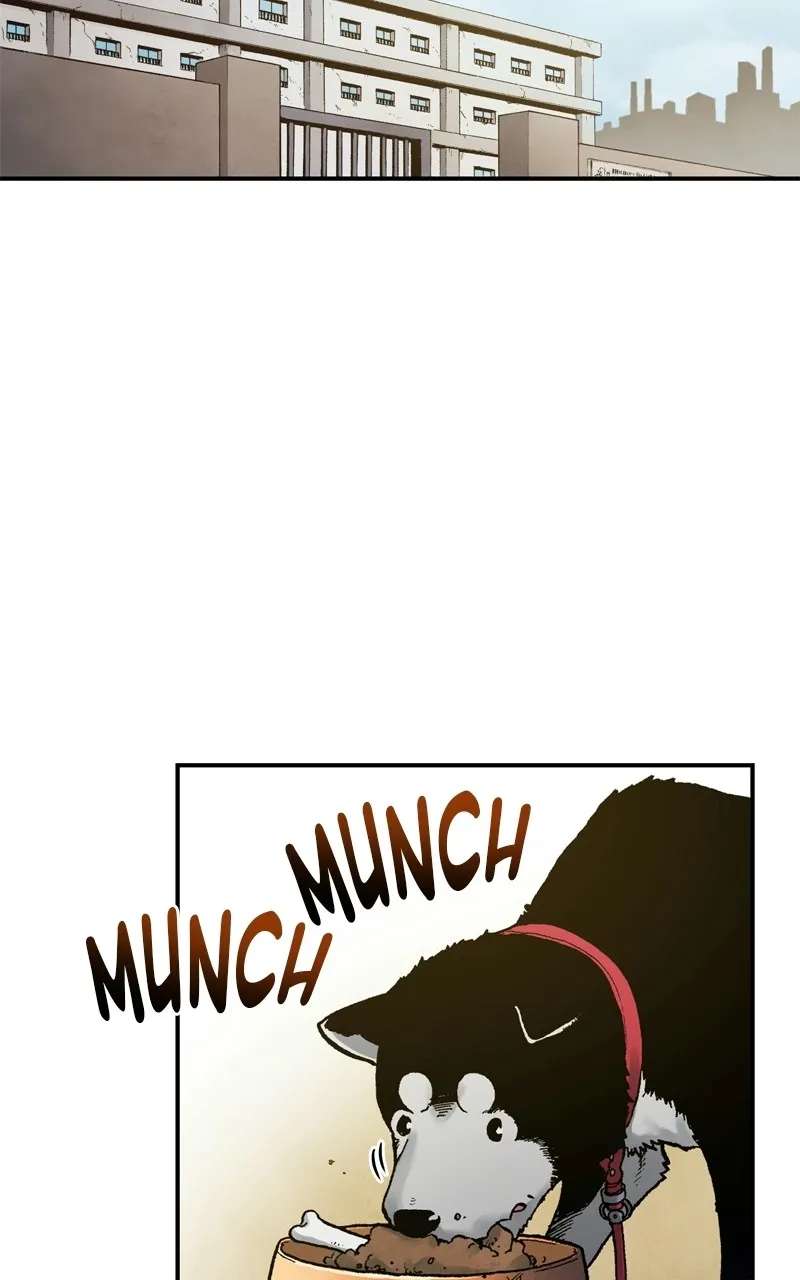 Fullmetal Alchemist (Official Webtoon) Chapter 143 - page 31