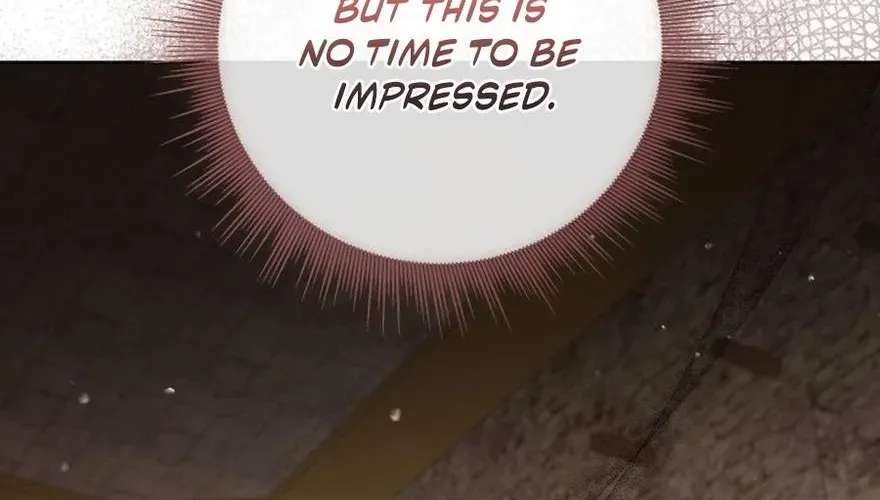 The Princess Stans in Secret Chapter 85 - page 37