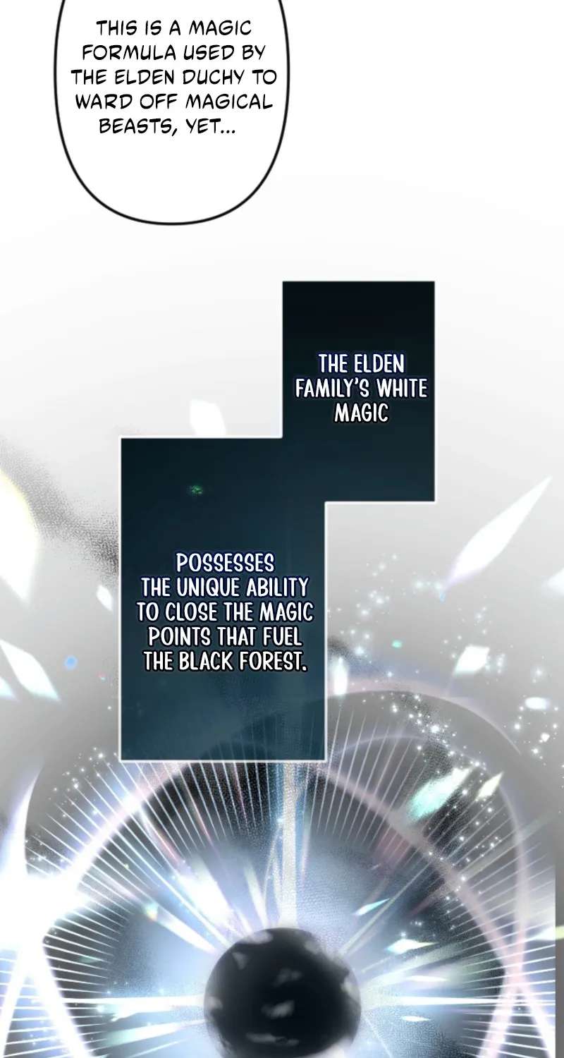 The Prince of Calamity Wants a Fake Princess Chapter 17 - page 48