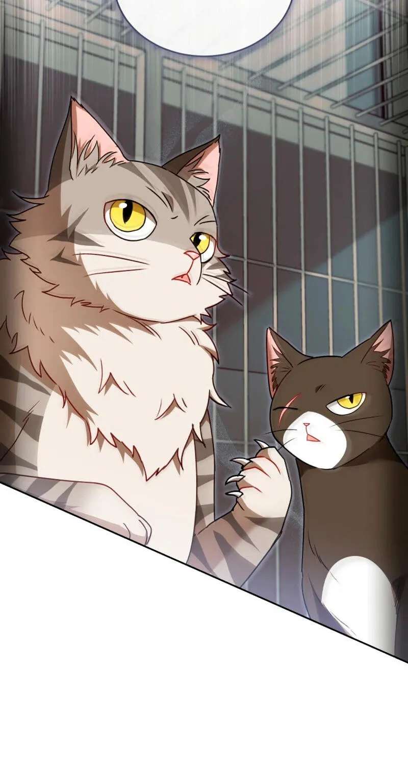 Hello, Mr. Veterinarian! Chapter 146 - page 39
