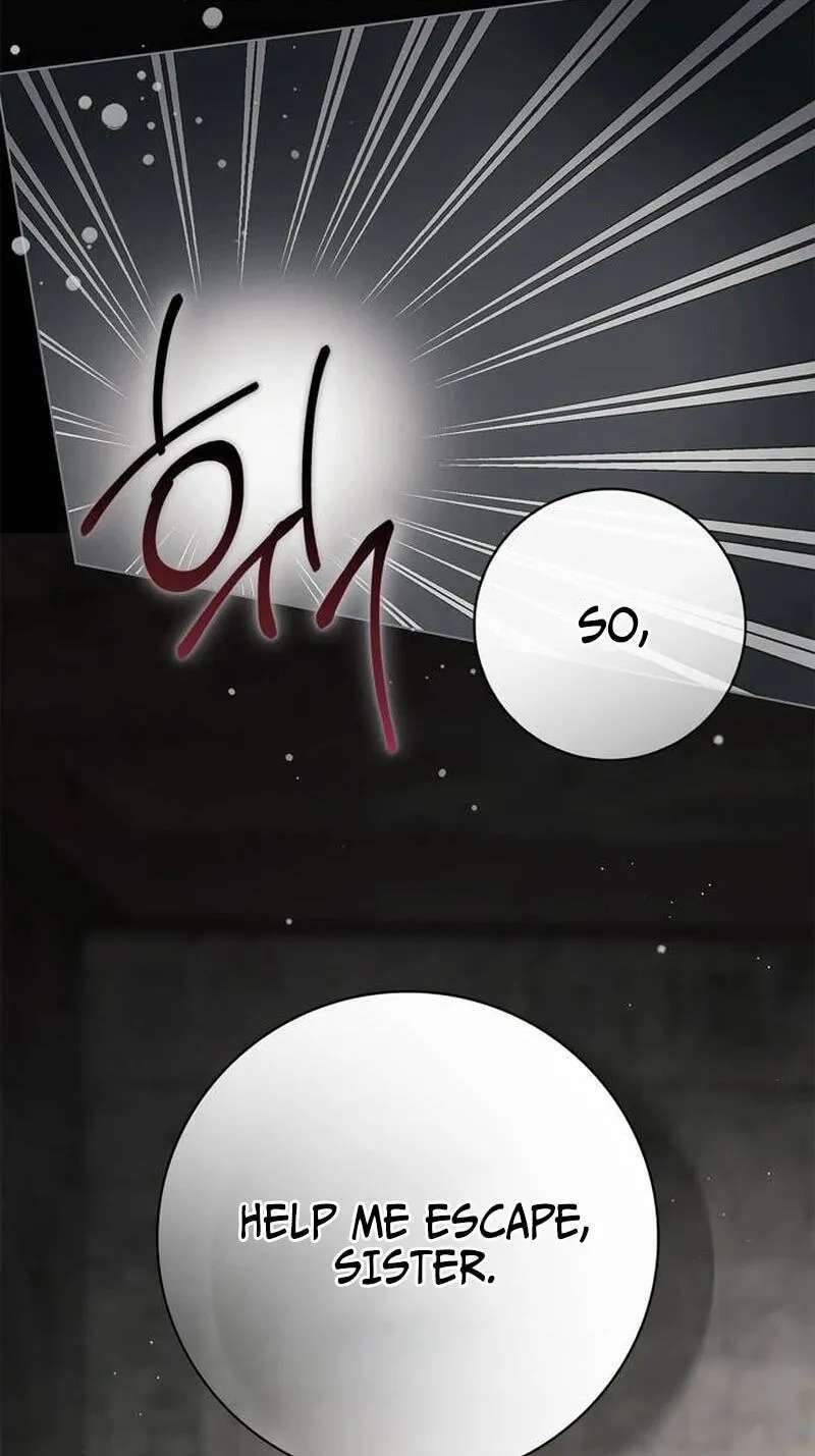 The Count's Secret Maid Chapter 106 - page 27