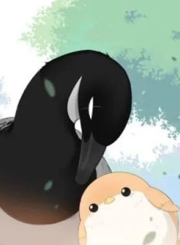 Southern Bird and Northern Bird