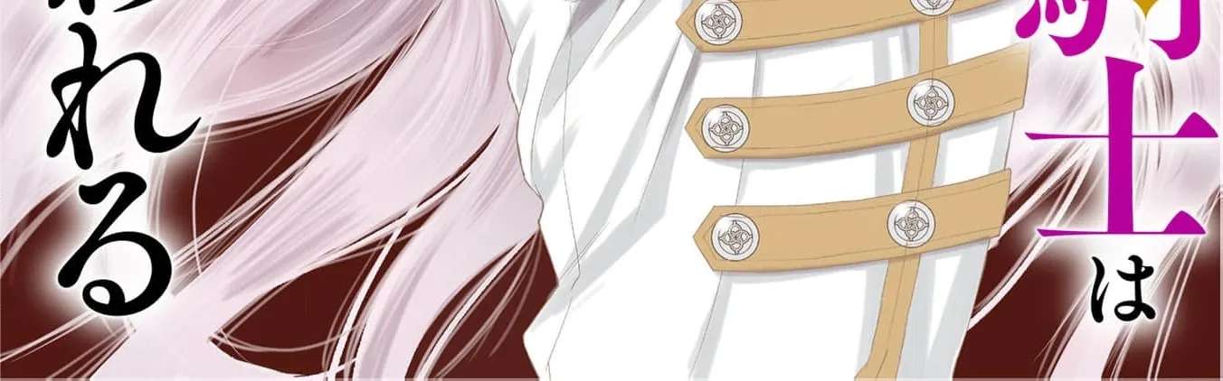 Junketsu no Dansou Reijou Kishi wa Isai no Shukun ni Ubawareru Chapter 3 - page 4