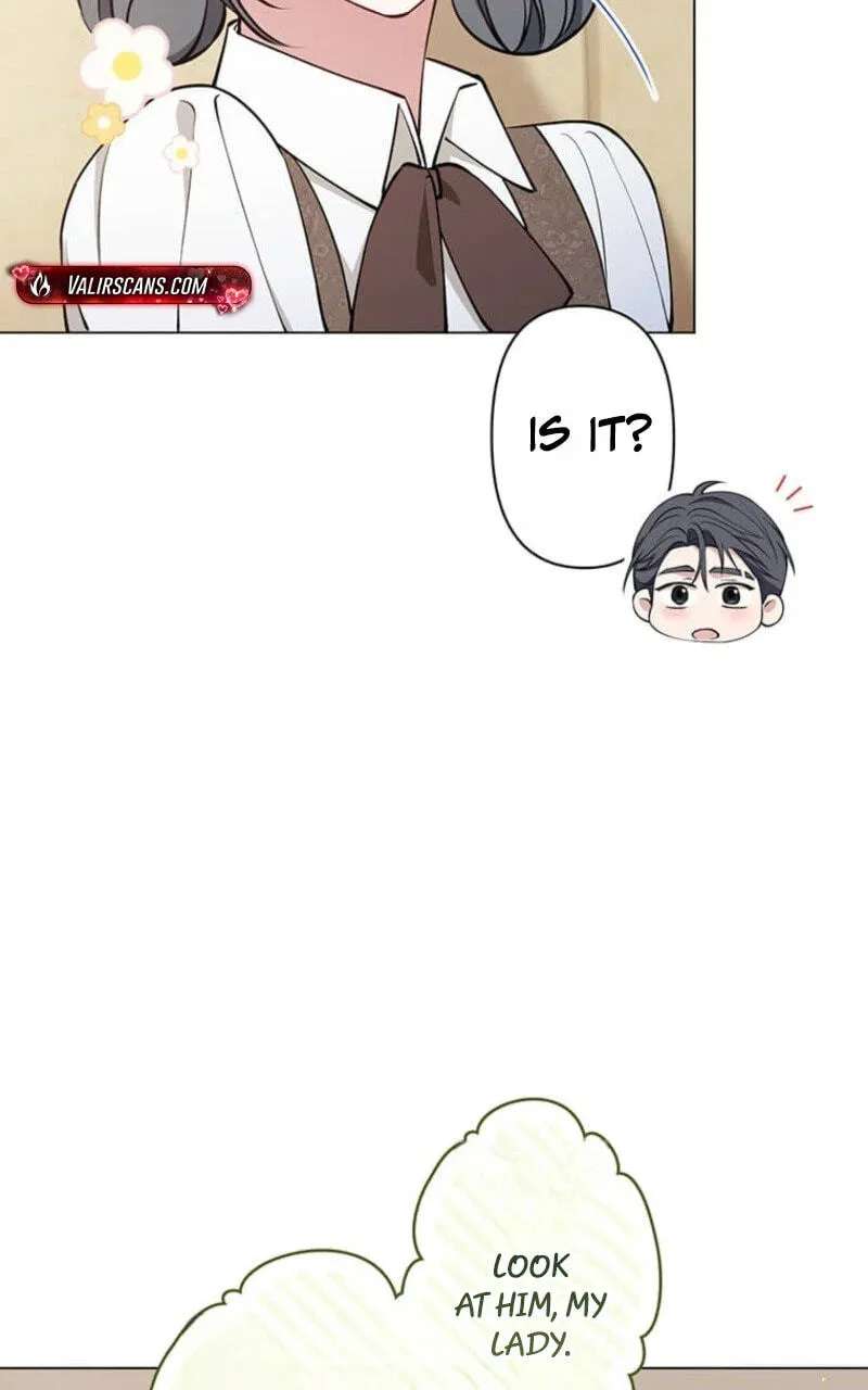 Migawari Hanayome Chapter 47 - page 9