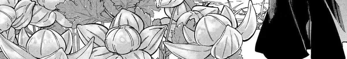 From Old Country Bumpkin to Master Swordsman - The Mage Knight's Origin Chapter 13 - page 21