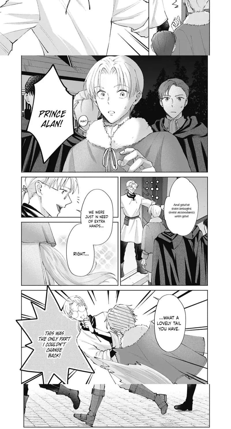 Super Beauty & the Beast: I Kissed Him and He Turned into a Prince?! Now I Have to Recast the Spell! Chapter 6 - page 8