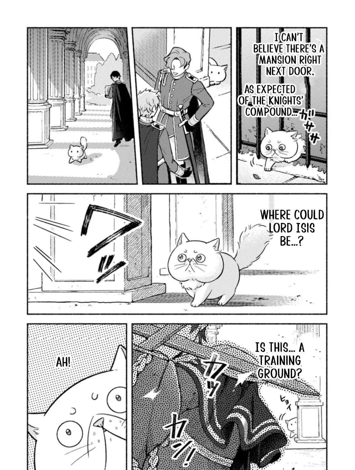 Nekura Kishi ni Yoru Dekiai Mankitsu-chuu nu Busa Neko, Jitsu wa Seijo desu! Chapter 3 - page 43