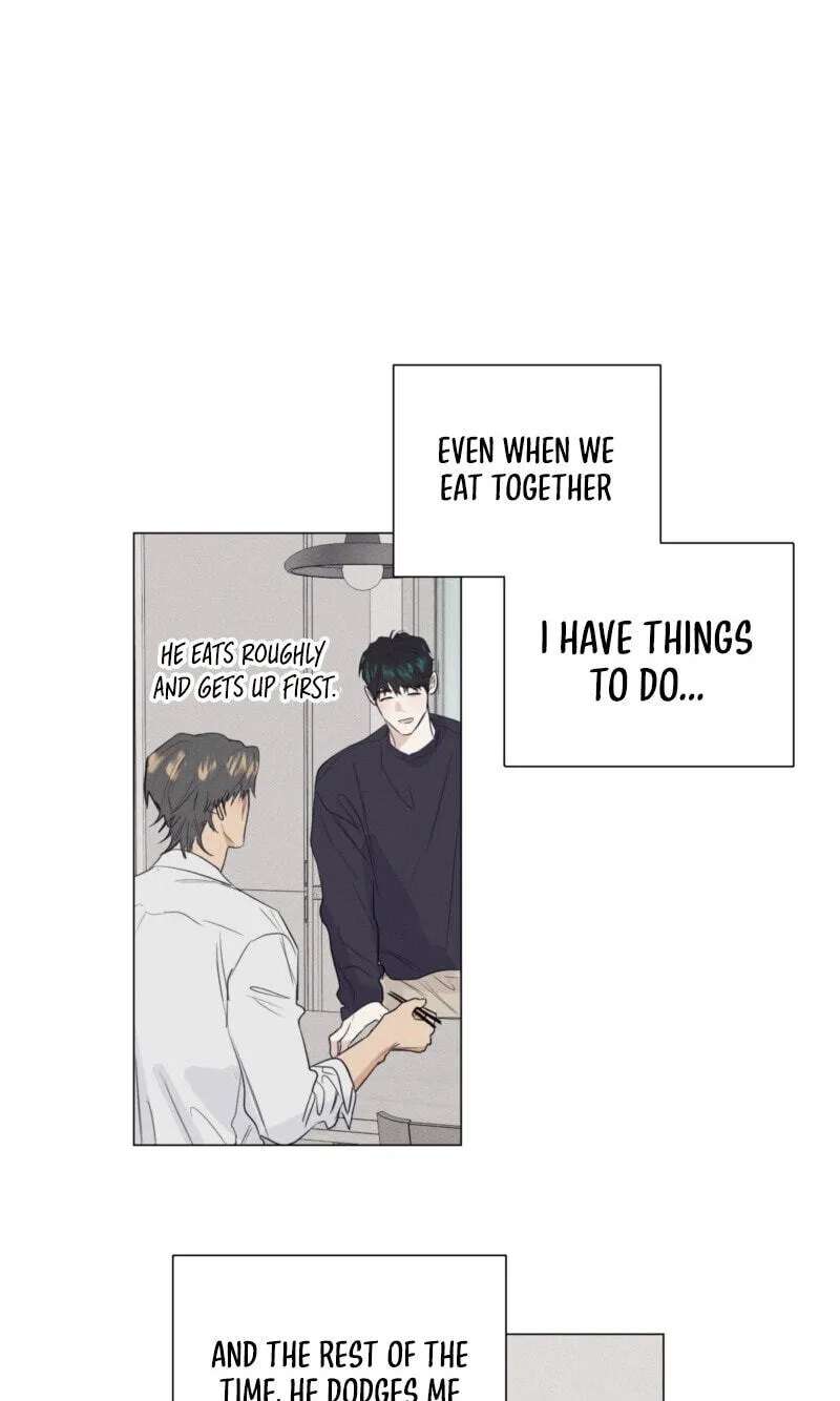 A Lovely Meal Chapter 28 - page 37