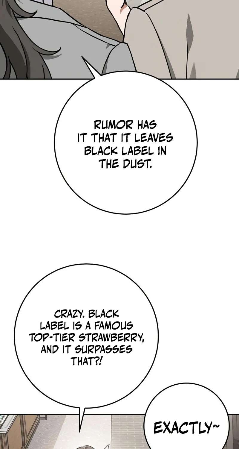 After Returning to Farming, National-Level Tycoons Flock In Chapter 1 - page 16