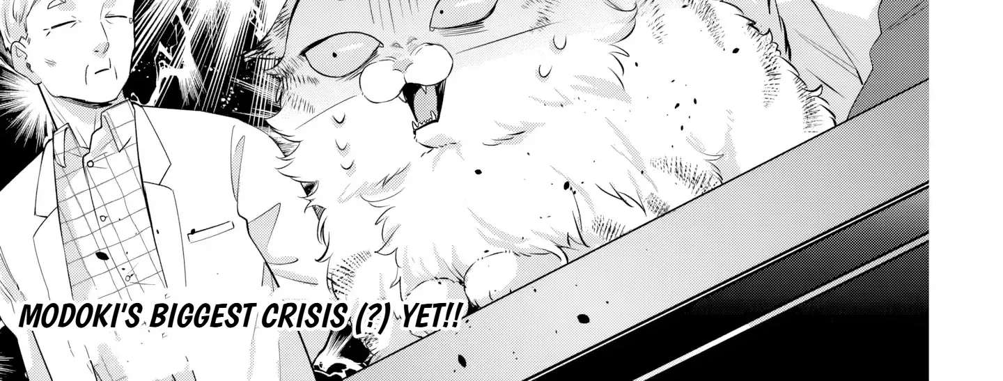 Is the Cat I Picked Up Really a Cat? Chapter 2 - page 31