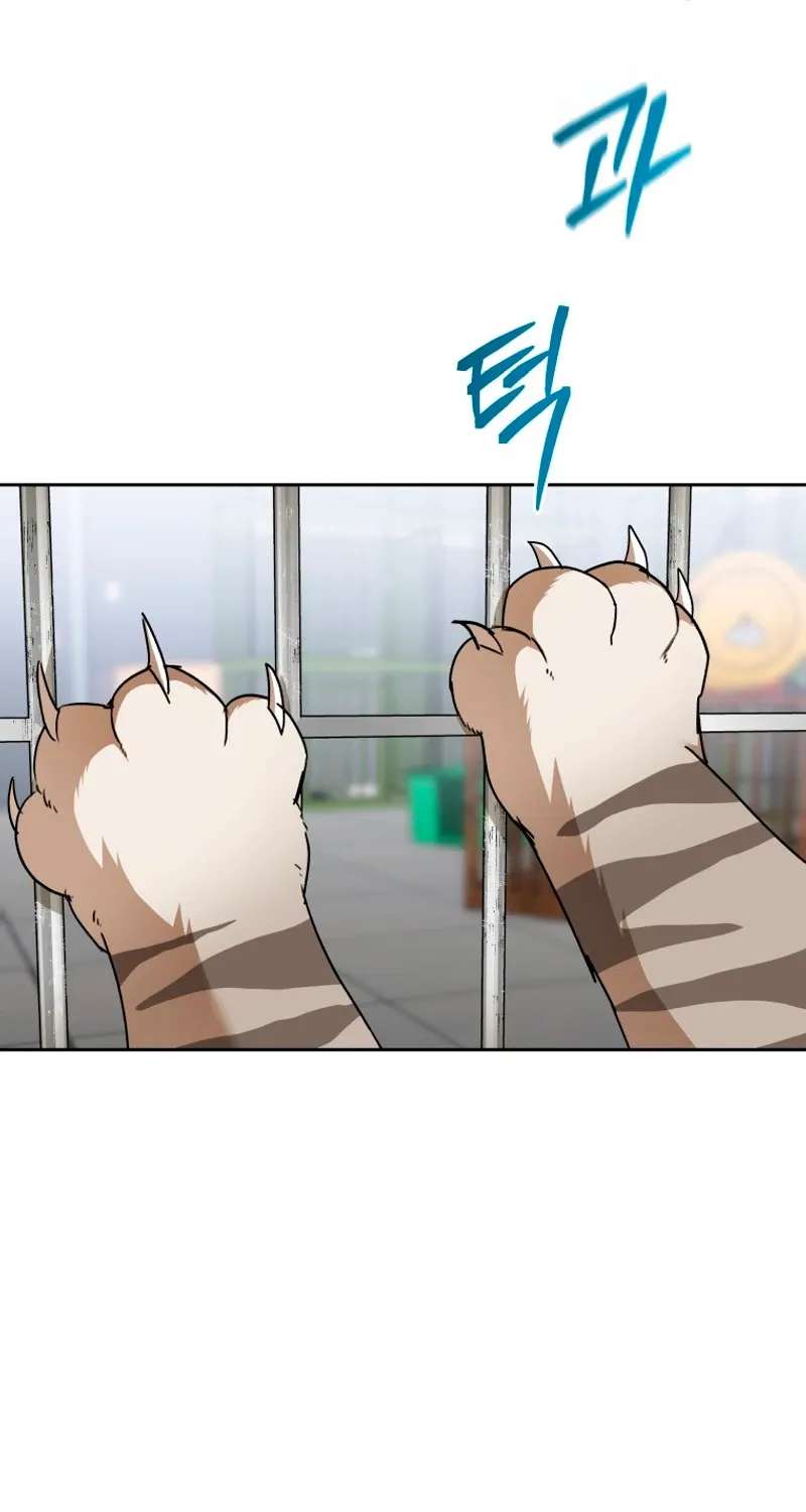 Hello! Veterinarian! Chapter 146 - page 66