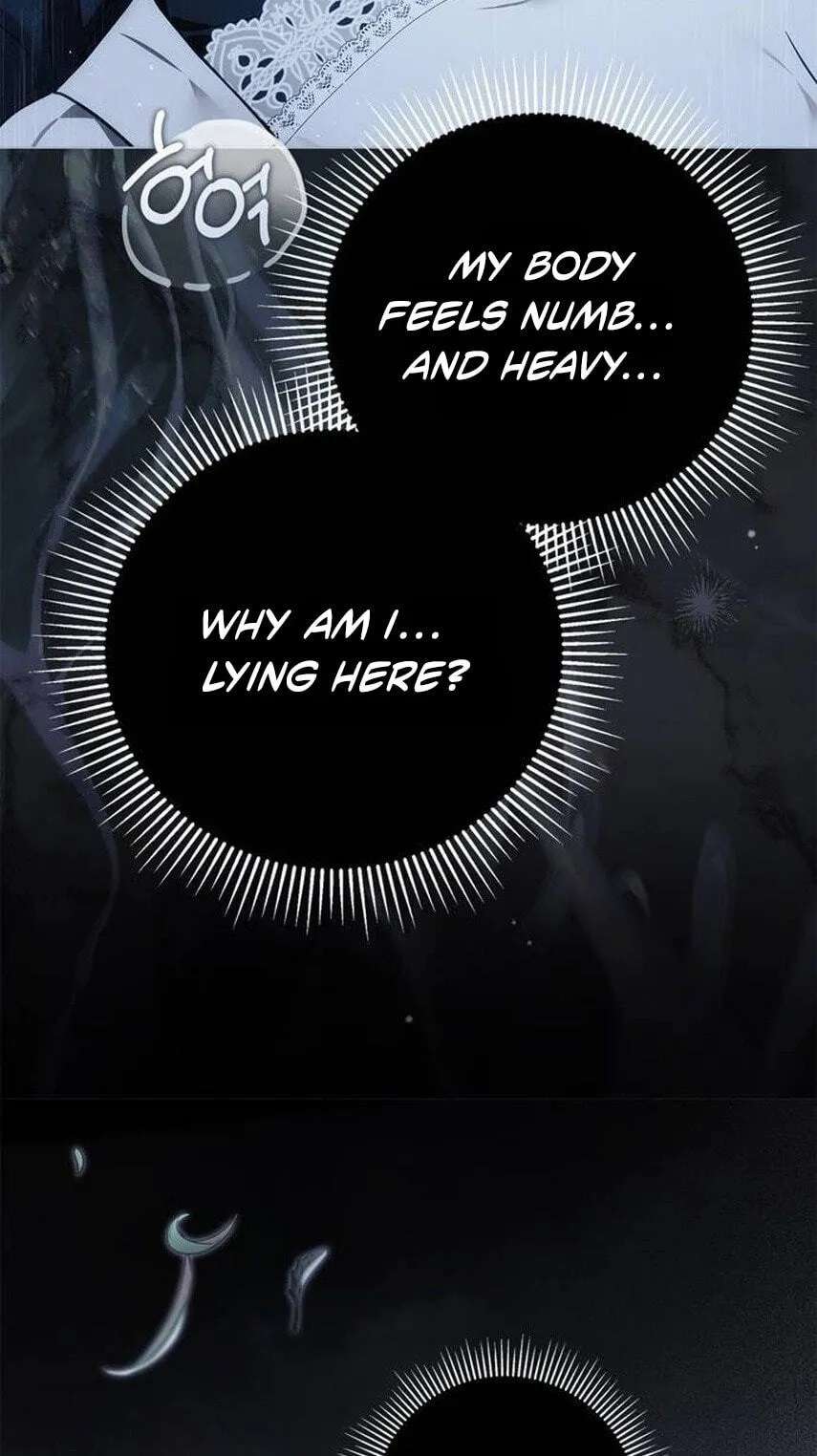 The Count's Secret Maid Chapter 108 - page 49