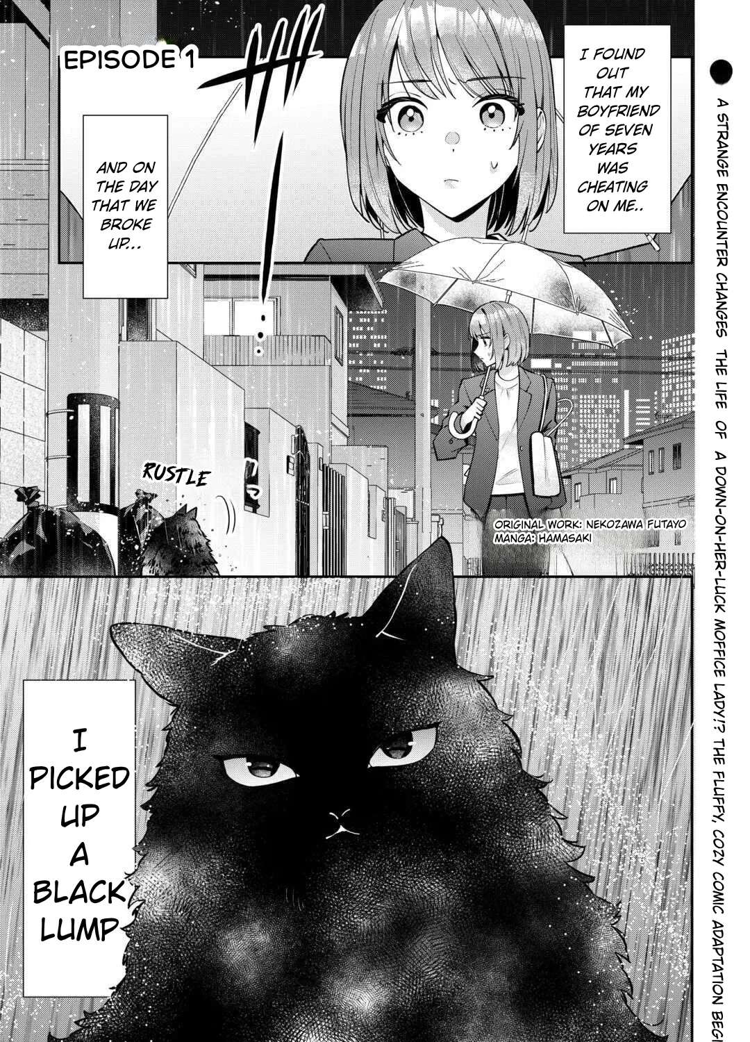 Is the Cat I Picked Up Really a Cat? Chapter 1 - page 1