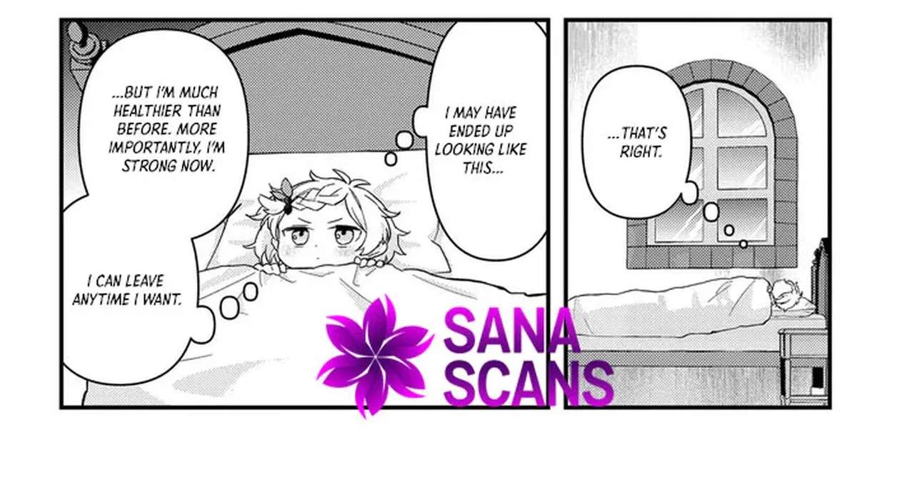 The Unmanageable Reincarnated Little Kid — Going BOOM! with a Sacred Beast! Chapter 2 - page 27