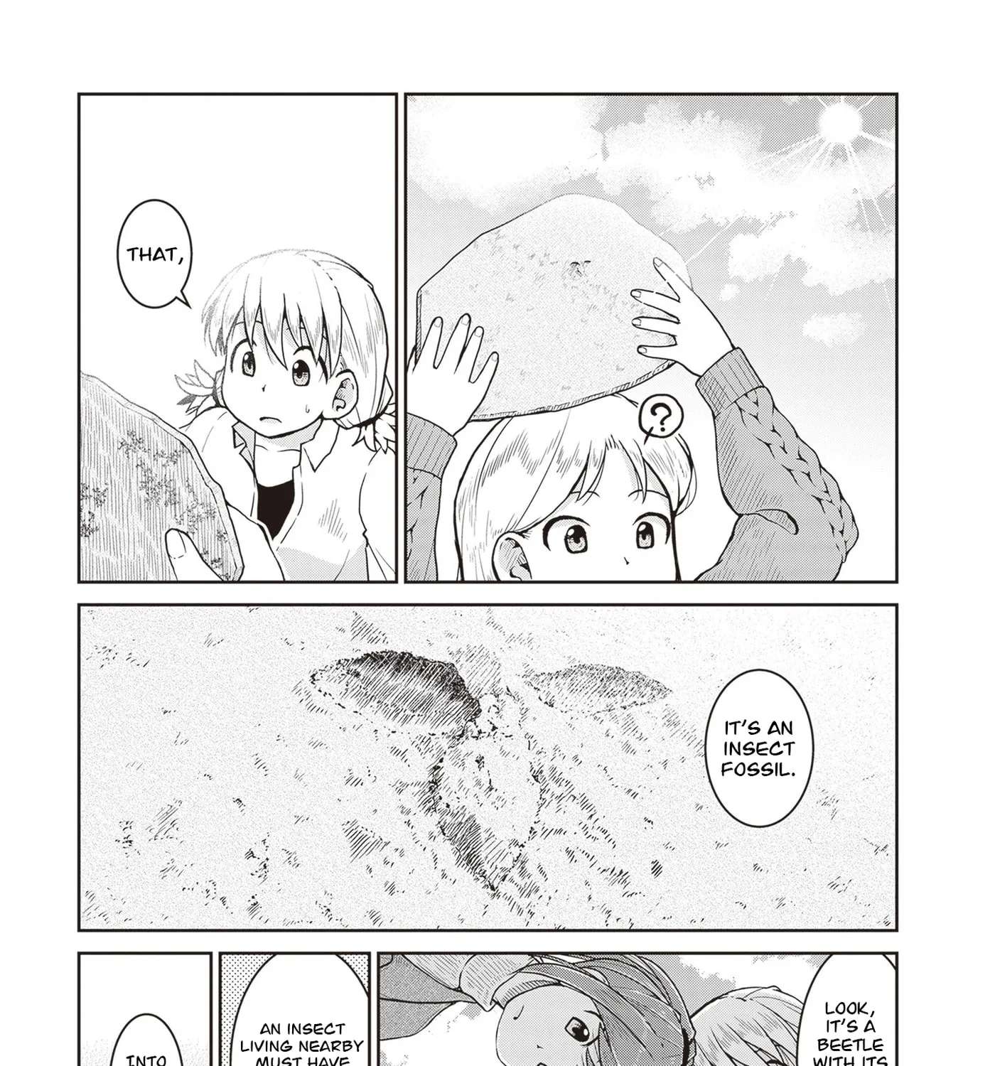 Introduction to Mineralogy Chapter 30 - page 51