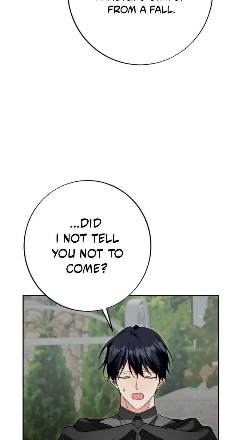 I Opened an Illegal Veterinary Clinic in Another World Chapter 50 - page 84