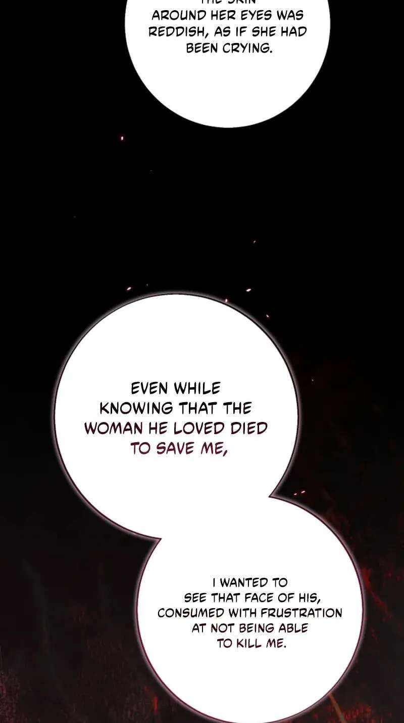 I Opened an Illegal Veterinary Clinic in Another World Chapter 50 - page 87
