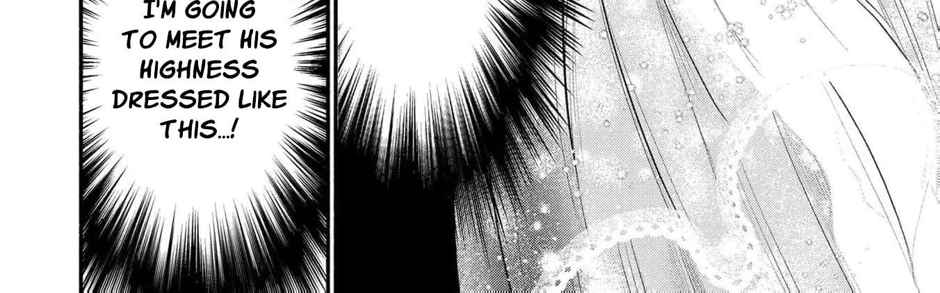 Wakeari Ouji-sama to Chiyu no Seijo Chapter 2 - page 61