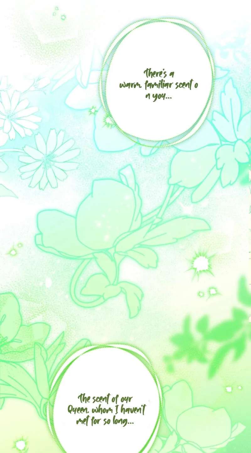 I'm Just a Side Character, but I Became the Guardian of the Marquess Family's Heir Chapter 68 - page 28
