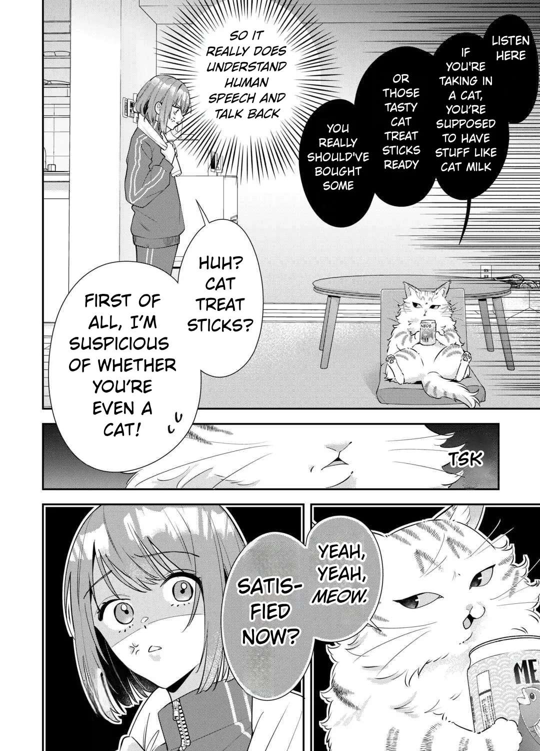 Is the Cat I Picked Up Really a Cat? Chapter 1 - page 8