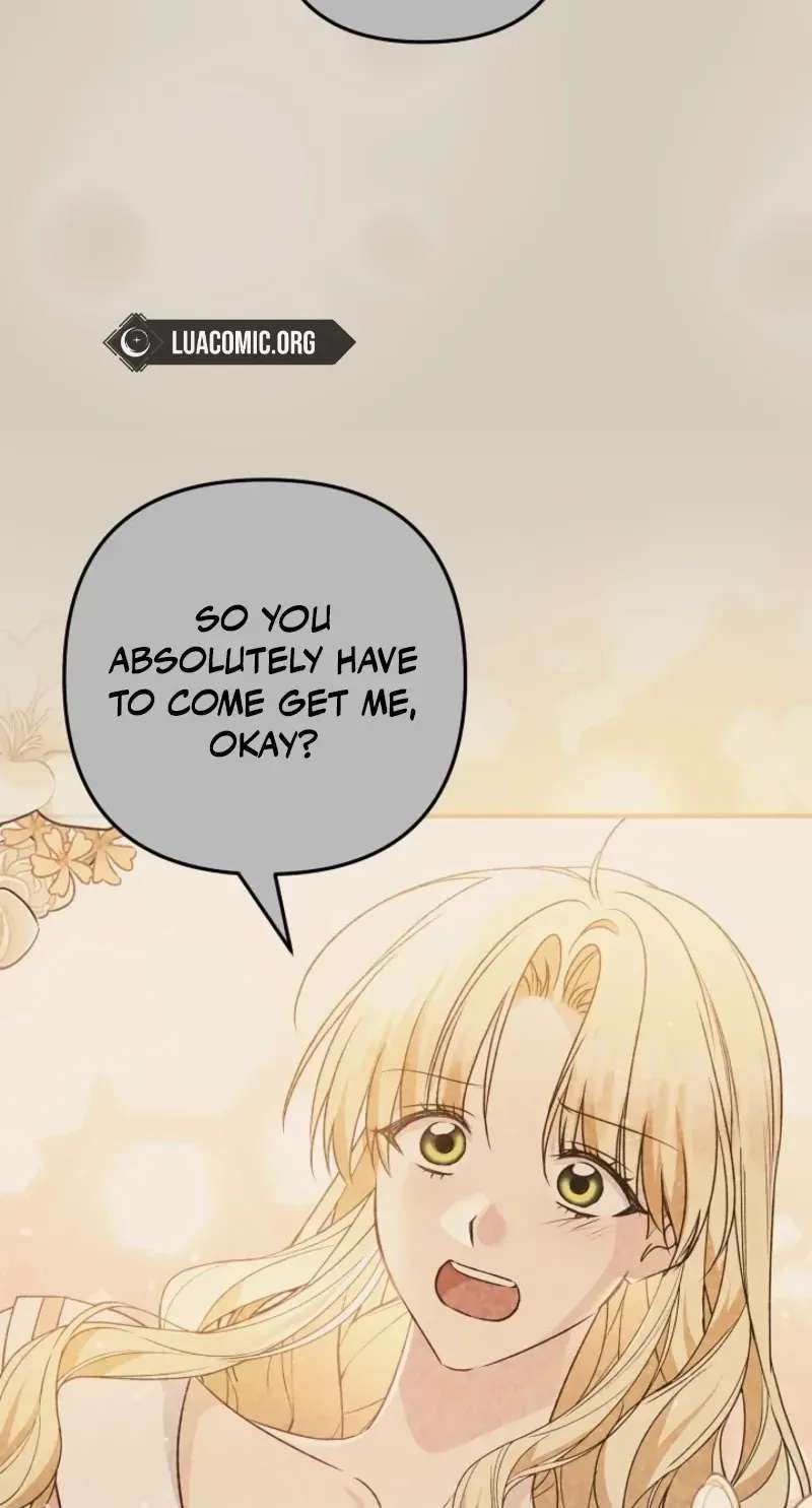 I Want a Divorce, Please Stop Obsessing Over Me! Chapter 60 - page 93