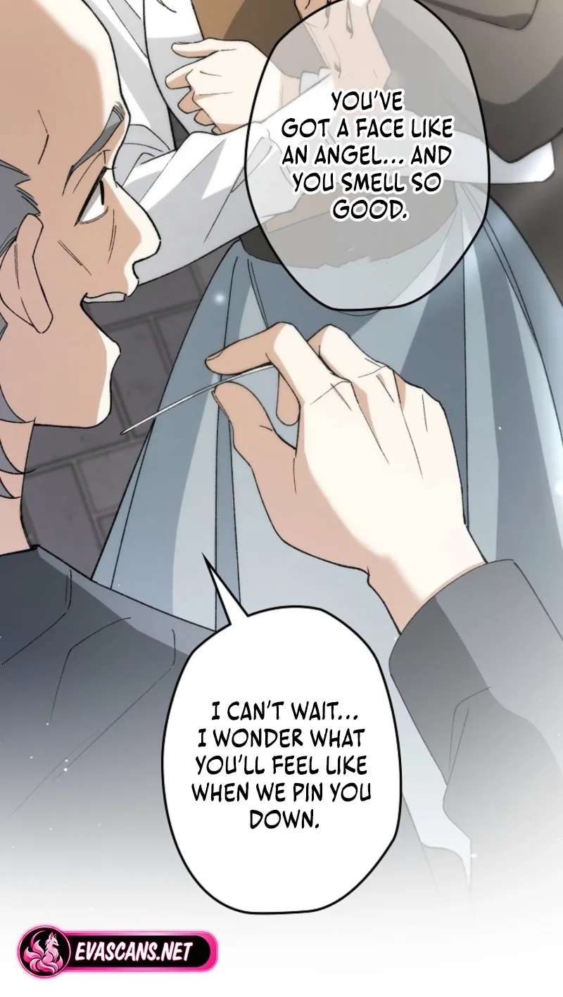 In the Ice Emperor's Birdcage Chapter 30 - page 59