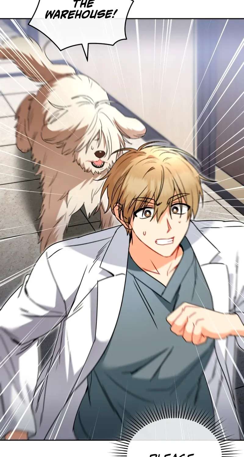 Hello! Veterinarian! Chapter 146 - page 19