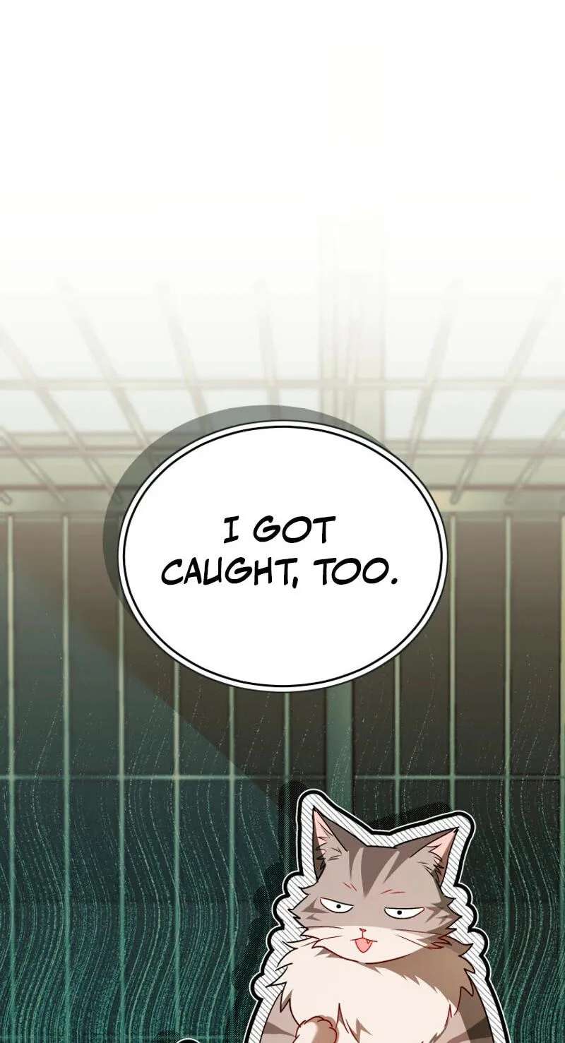 Hello, Mr. Veterinarian! Chapter 146 - page 14
