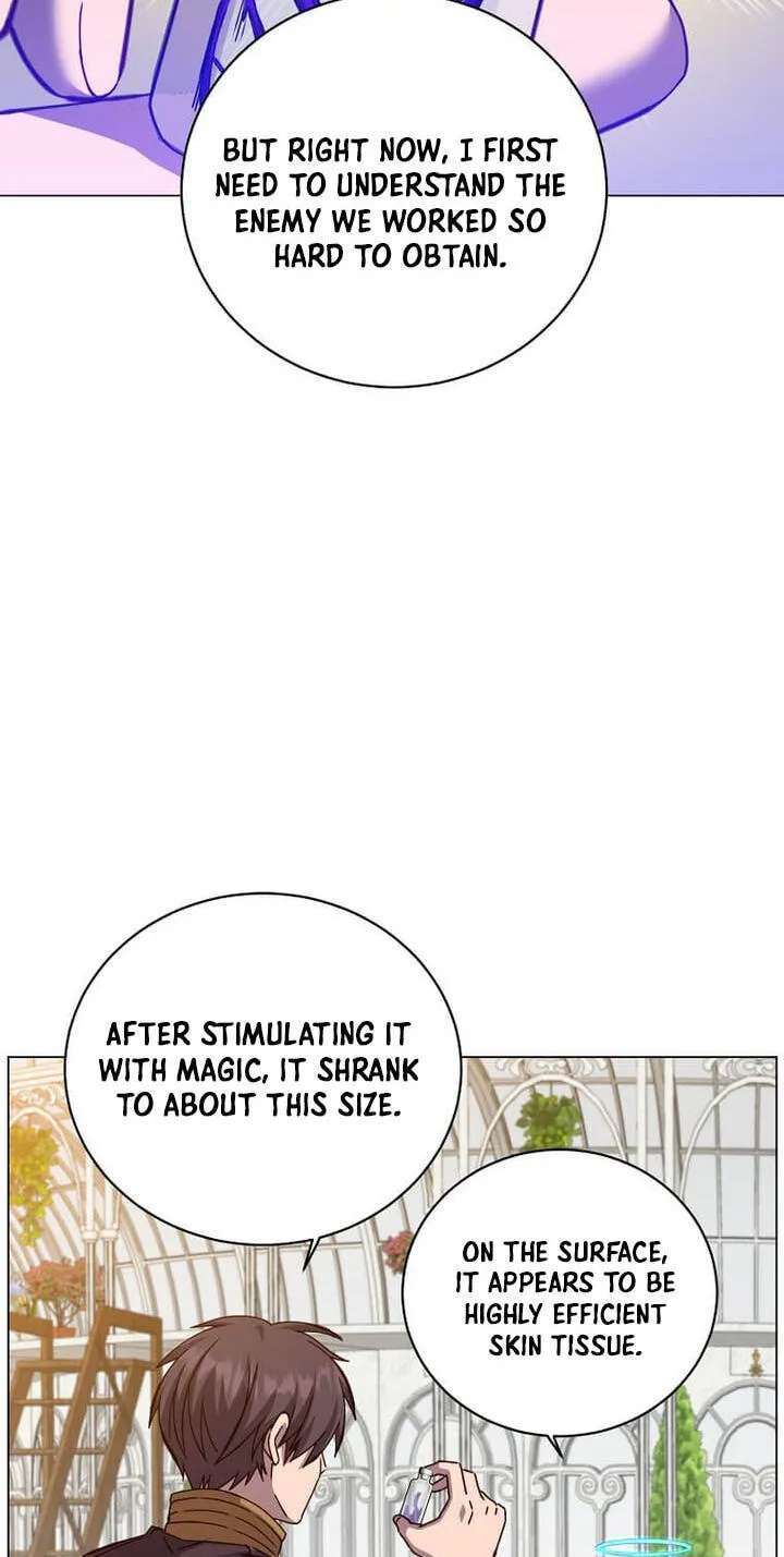 The Max Level Hero Strikes Back Chapter 245 - page 14