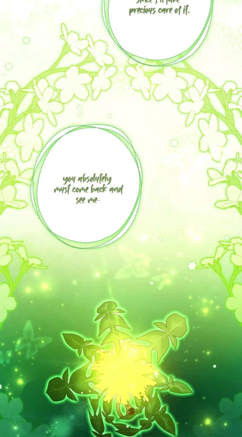 I'm Just a Side Character, but I Became the Guardian of the Marquess Family's Heir Chapter 68 - page 34