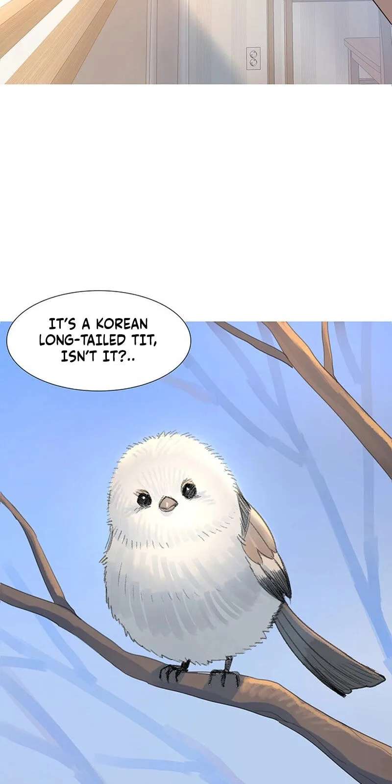 Youth Observation Chapter 1 - page 8
