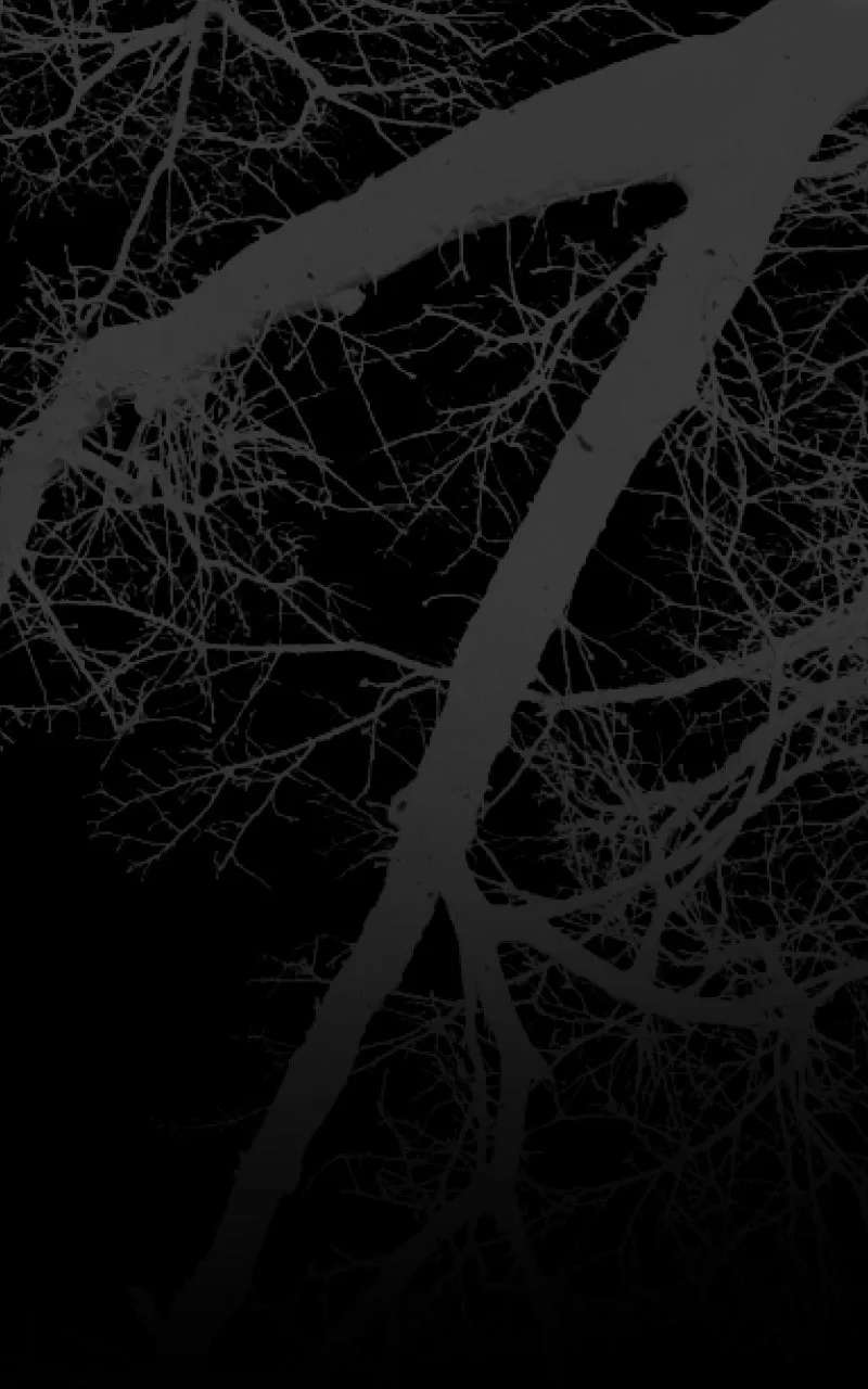 The Murderer TargetsBrunettes Chapter 37 - page 49