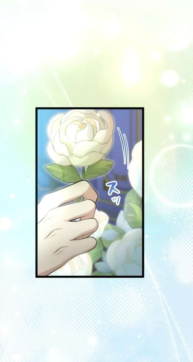 The Prince Who Was My Fiancé in Name Only Apparently Loved Me Chapter 31 - page 31