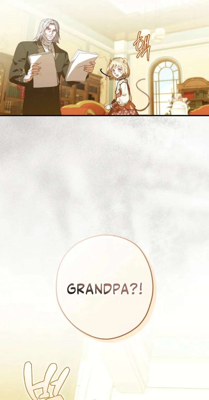 Cinderella's Pocket-Sized Protector Chapter 60 - page 34