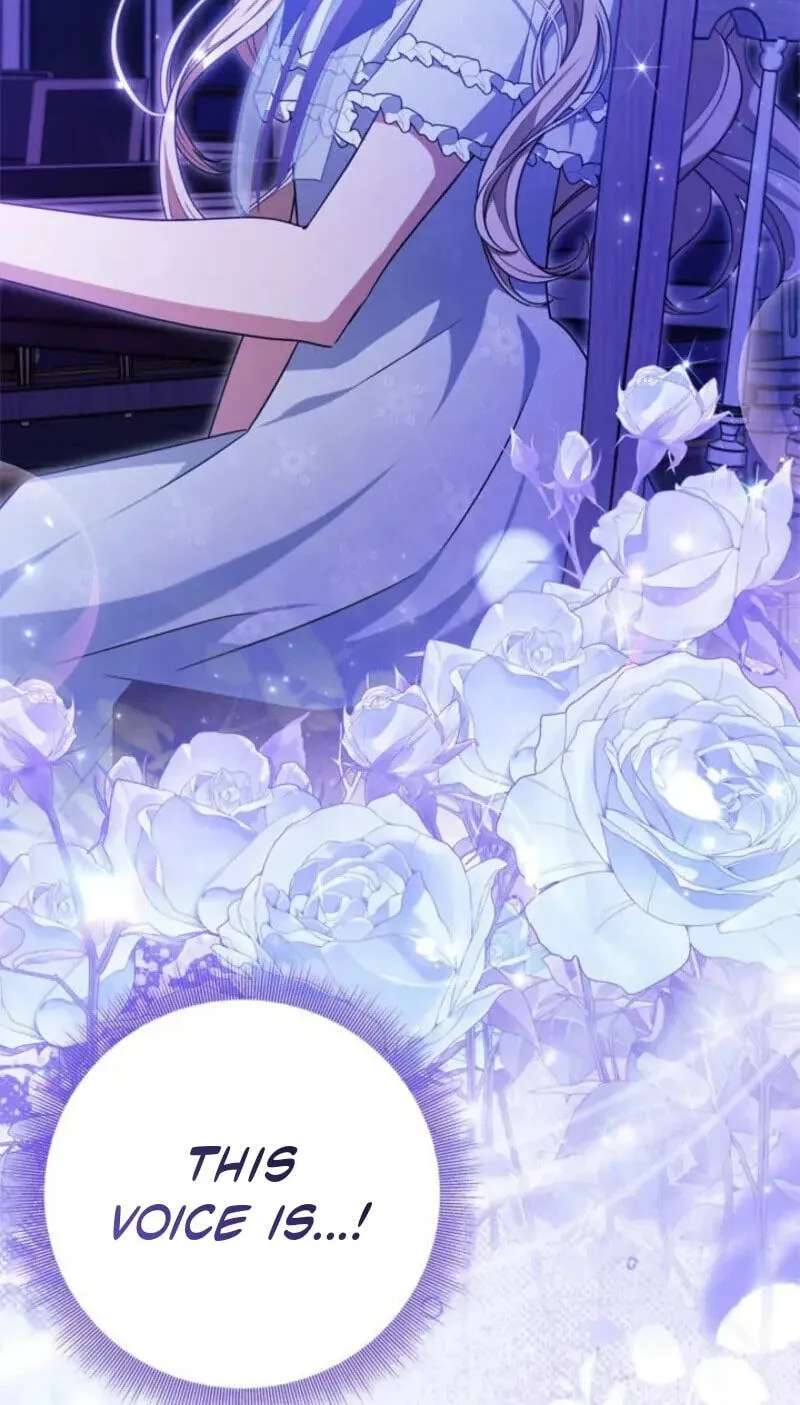 The Count's Beloved Contract Young Lady Chapter 46 - page 86