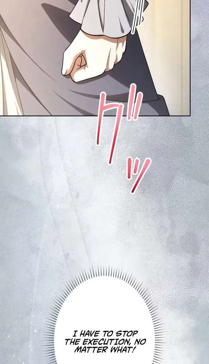 Nisemo no Koujo ni Shuuchakushi nai de Chapter 40 - page 17