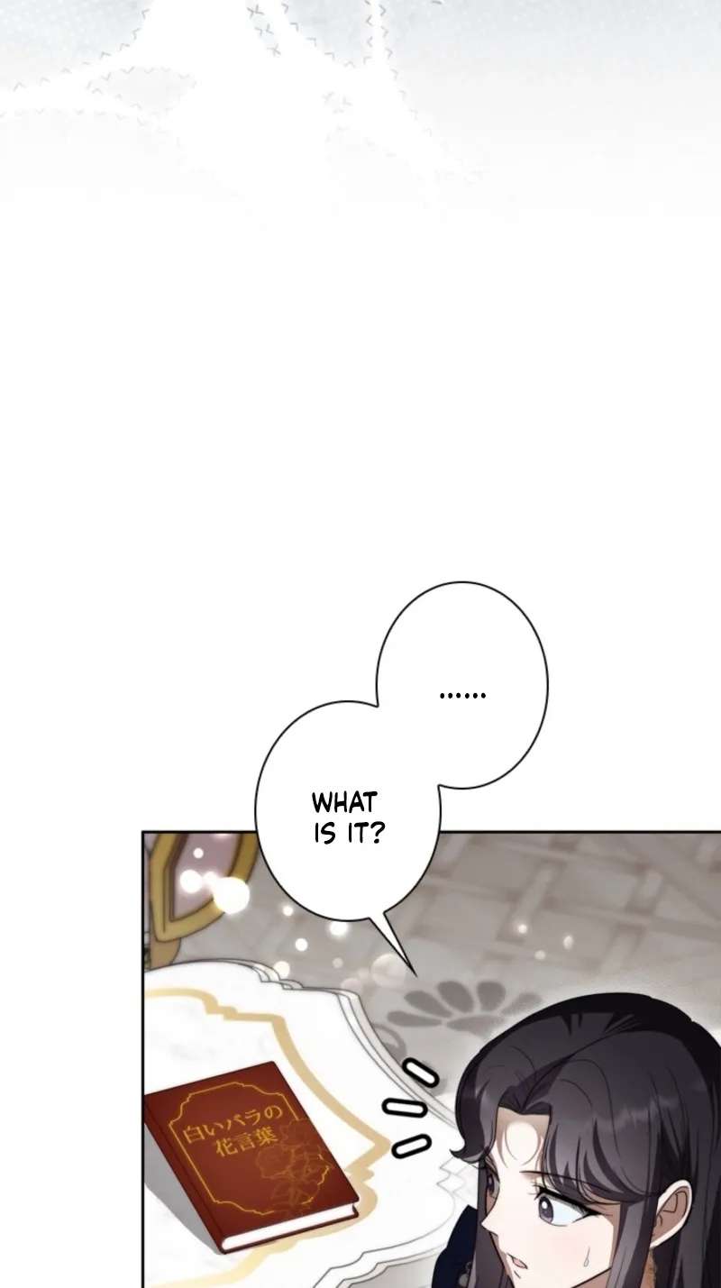 The Timid Lady of the Frontier Won't Give Up on Revenge Chapter 18 - page 51