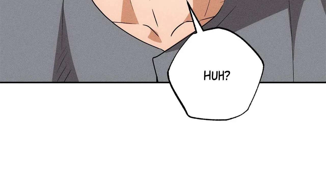 The Light I Give You Chapter 40 - page 155