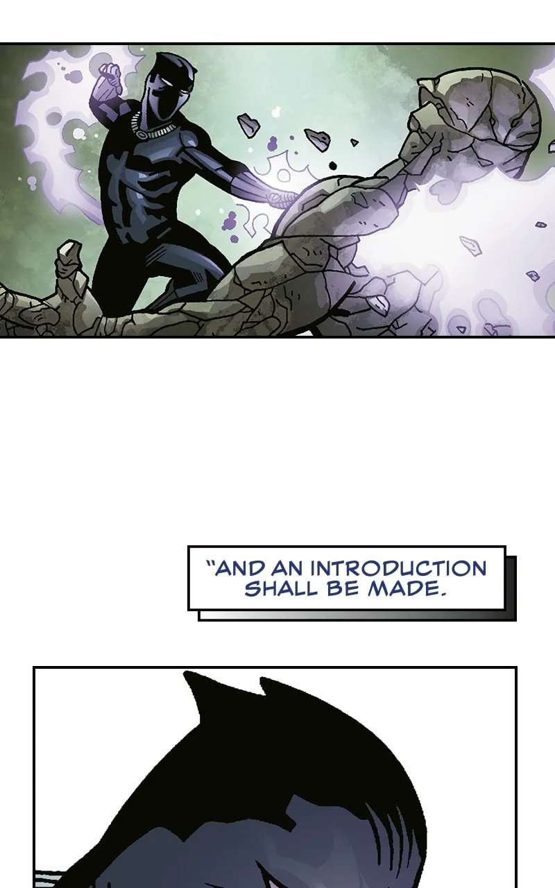 Black Panther:A Nation Under Our Feet Chapter 28 - page 3