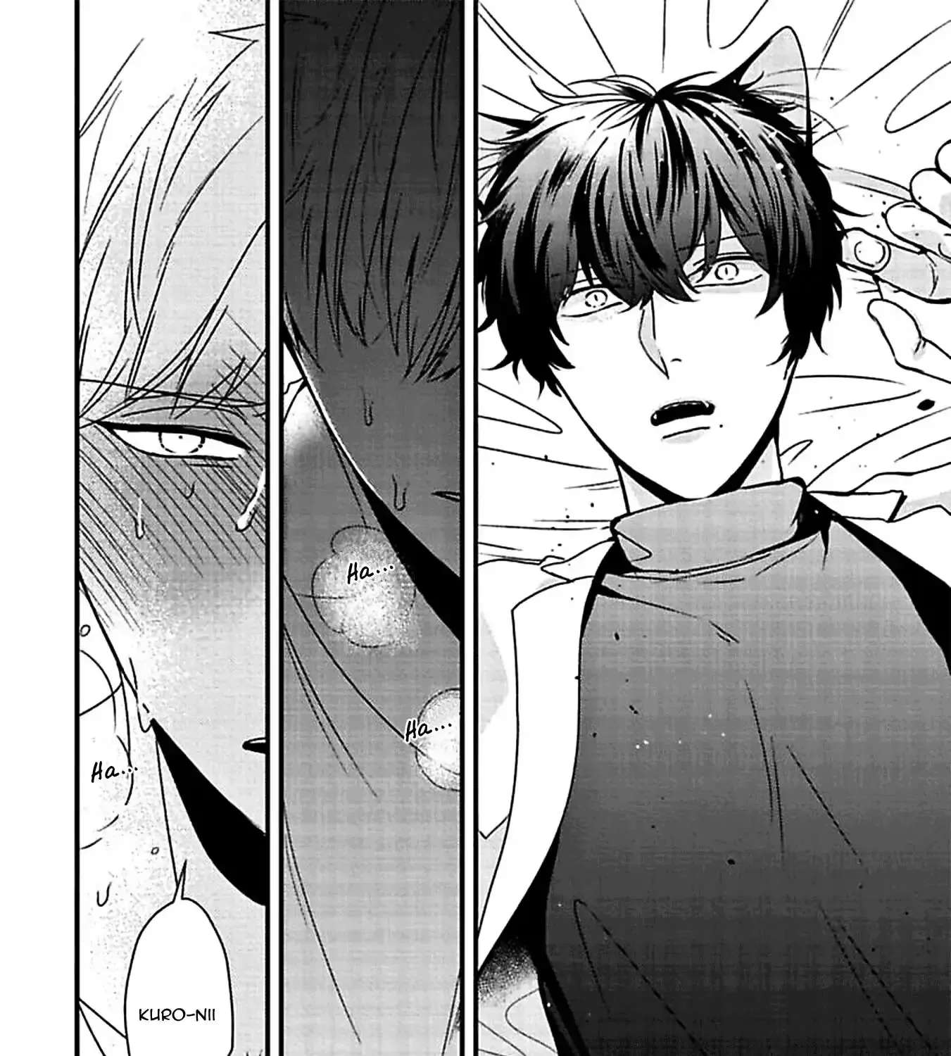 Usagi to Neko no Hatsujou Jijou Chapter 6 - page 48