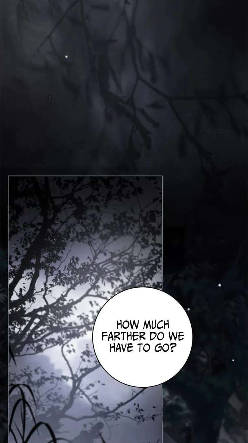 The Count's Secret Maid Chapter 106 - page 80