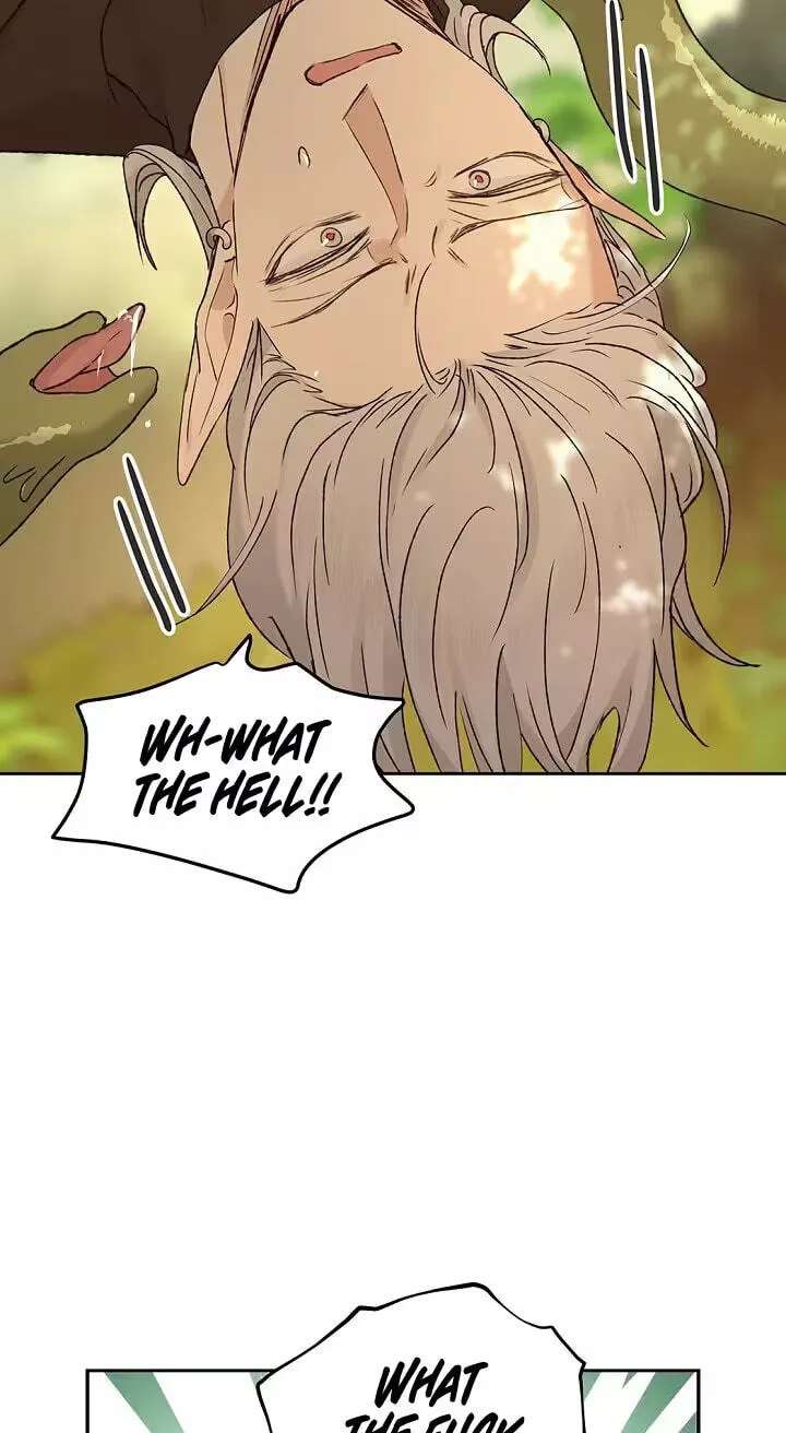 The Mating of Elves Chapter 68 - page 65