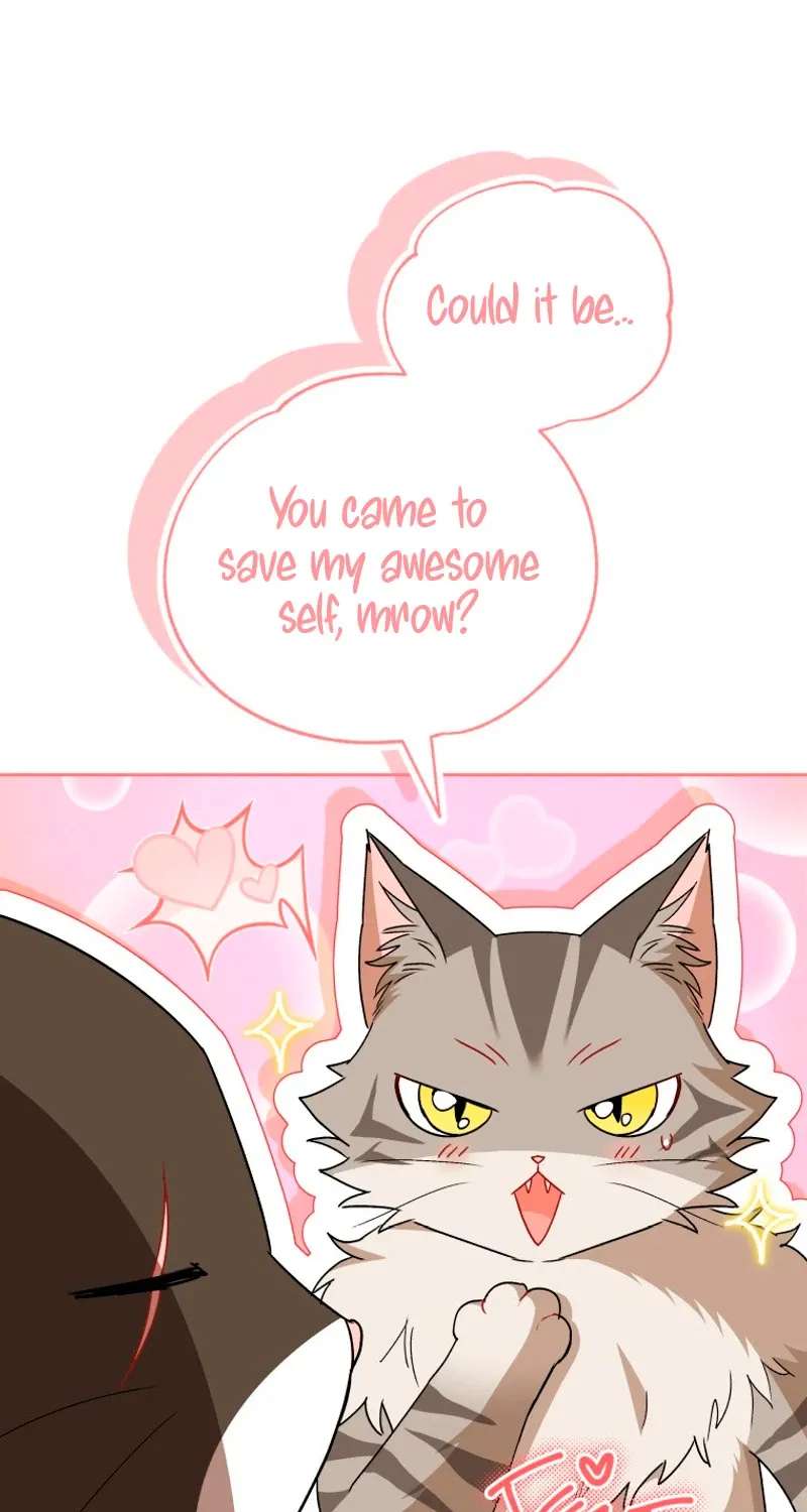 Hello! Veterinarian! Chapter 146 - page 13