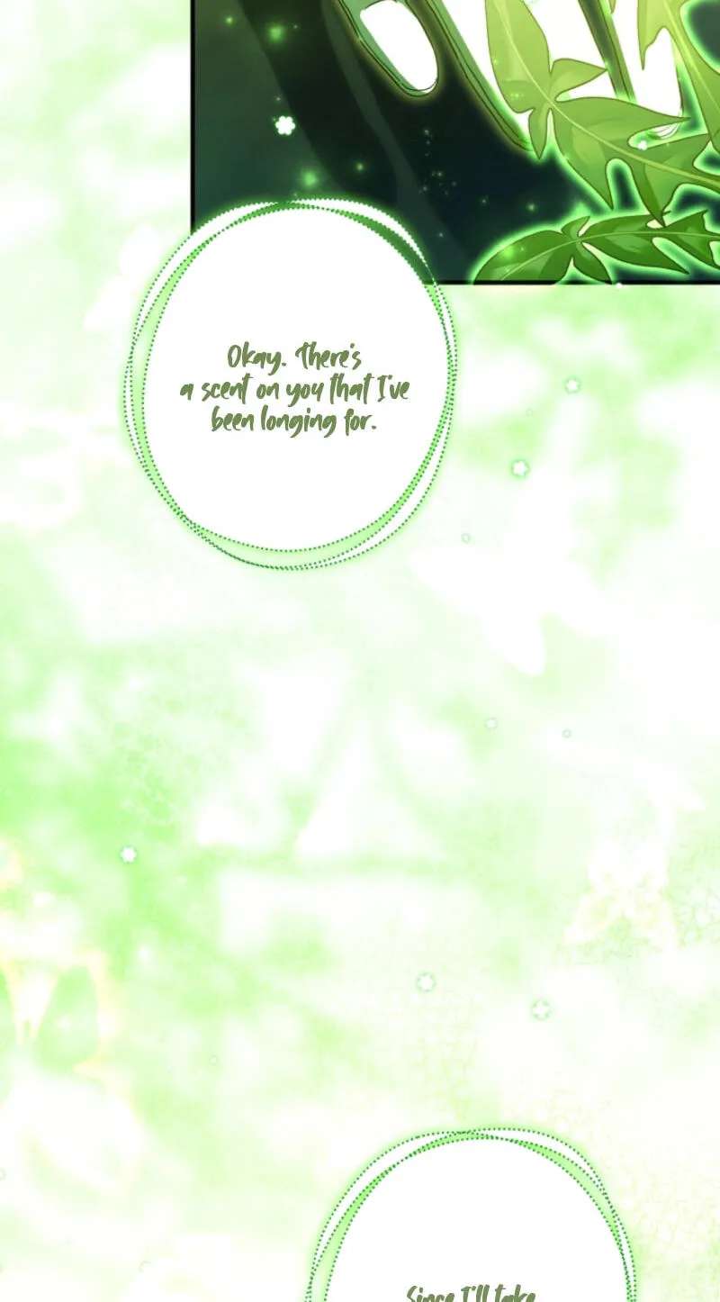 I'm Just a Side Character, but I Became the Guardian of the Marquess Family's Heir Chapter 68 - page 33