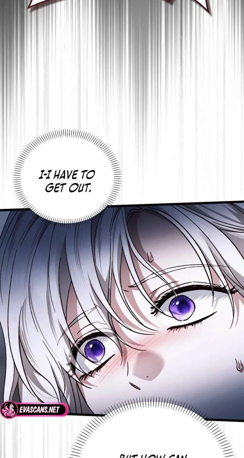 My Husband Is Definitely a Paladin Chapter 33 - page 5