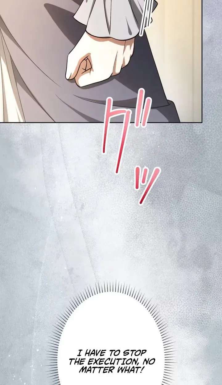 Don't Obsess Over the Fake Princess! Chapter 40 - page 17
